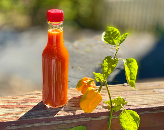 Heat of the South, Sting of the Wild: Explorations in Fiery Sauces